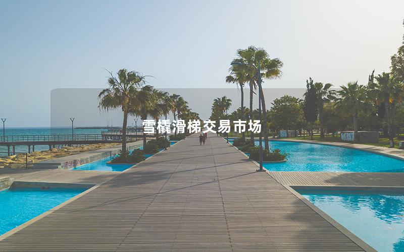 雪橇滑梯交易市場 雪橇滑梯交易市場